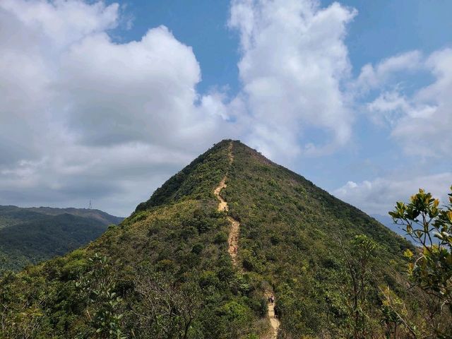 傳說中的第四尖~針山⛰️