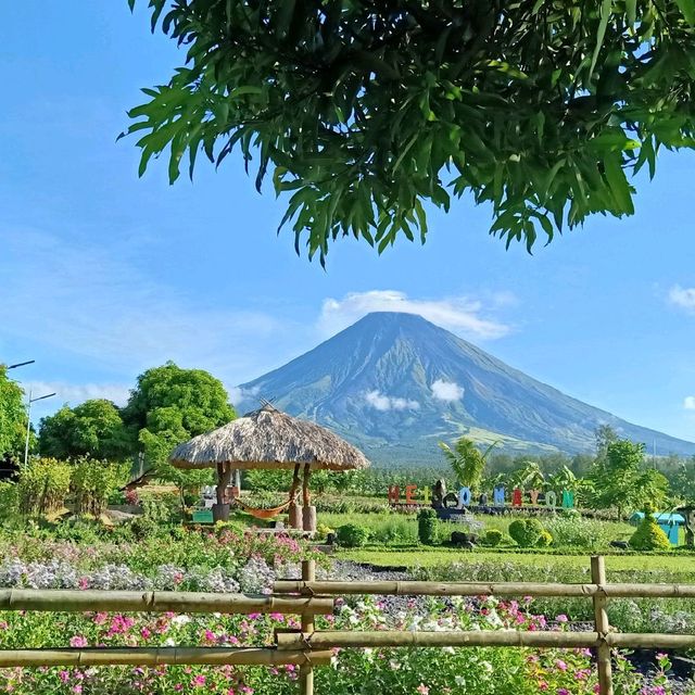 Dine with the gods at Mt. Mayon