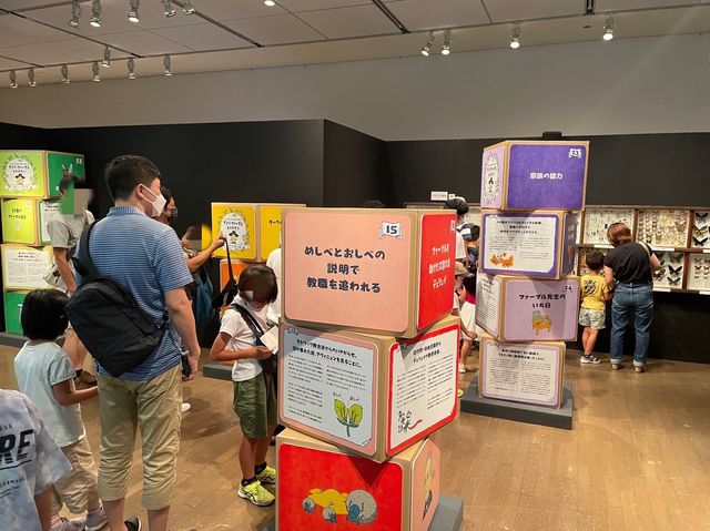 カブトムシを触れるコーナーまで！【ファーブル昆虫展】②