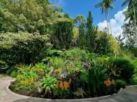 Nature Tranquil 