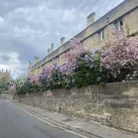 Oxford: The City of Dreaming Spires