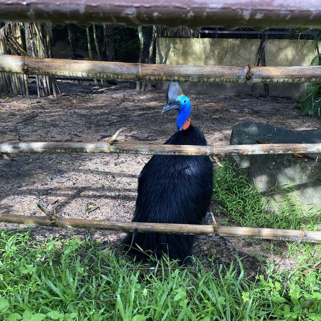 🦋Ubon Jungle Park🌿