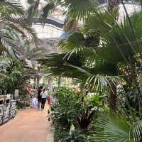 【福島】いつ行ってもハワイ気分✨日本のハワイ🌴