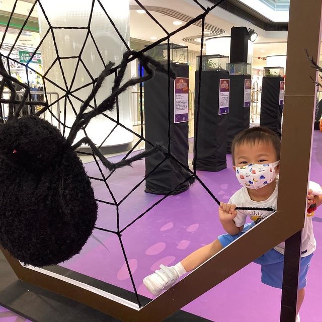 《黃埔天地 - 尋「蛛」🕷「蠍」🦂秘Halloween🎃》