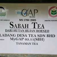 SABAH TEA