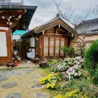 전주 한옥마을의 예쁜 한옥 색동저고리
