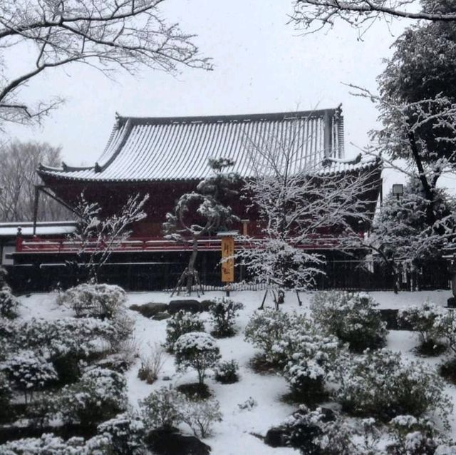 หนาวจับใจ..ได้สัมผัสหิมะแรกในชีวิตที่ Ueno