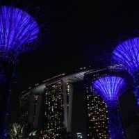 旅遊推介 新加坡🇸🇬站SupertreeGrove