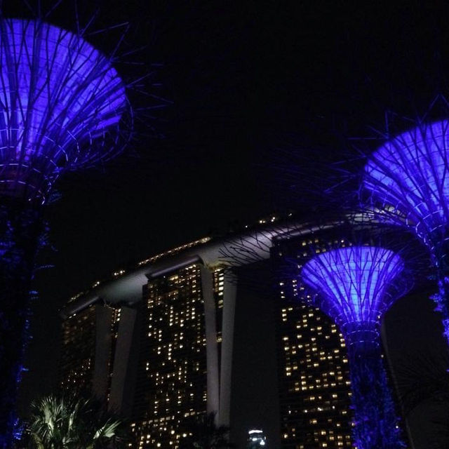 旅遊推介 新加坡🇸🇬站SupertreeGrove