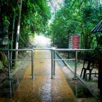 Hiking At Penang National Park