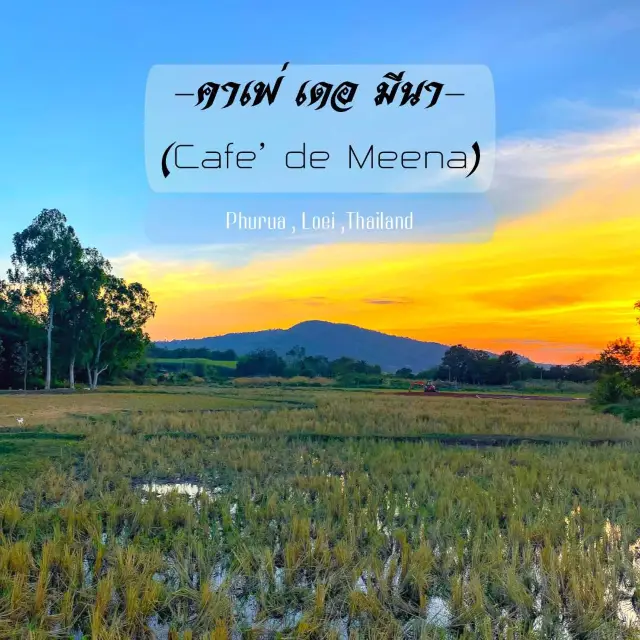 คาเฟ่ เดอ มีนา (Cafe’ de Meena) คาเฟ่วิวงาม ภูเรือ