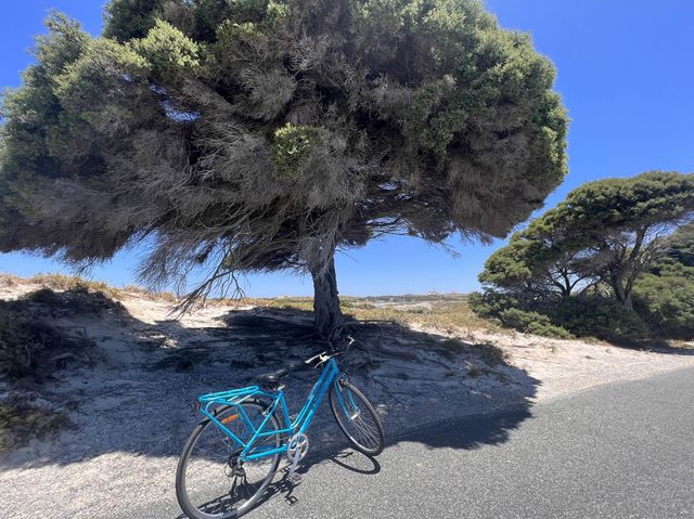 Rottnest Island! Parakeet Bay! 📸😎