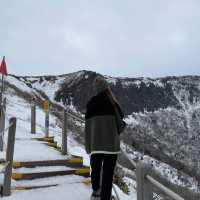 새해엔 한라산의 겨울 산행이죠🥹💙☃️
