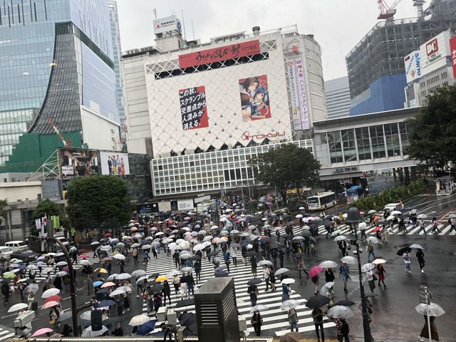 Shibuya Crossing - Busiest Street of World  