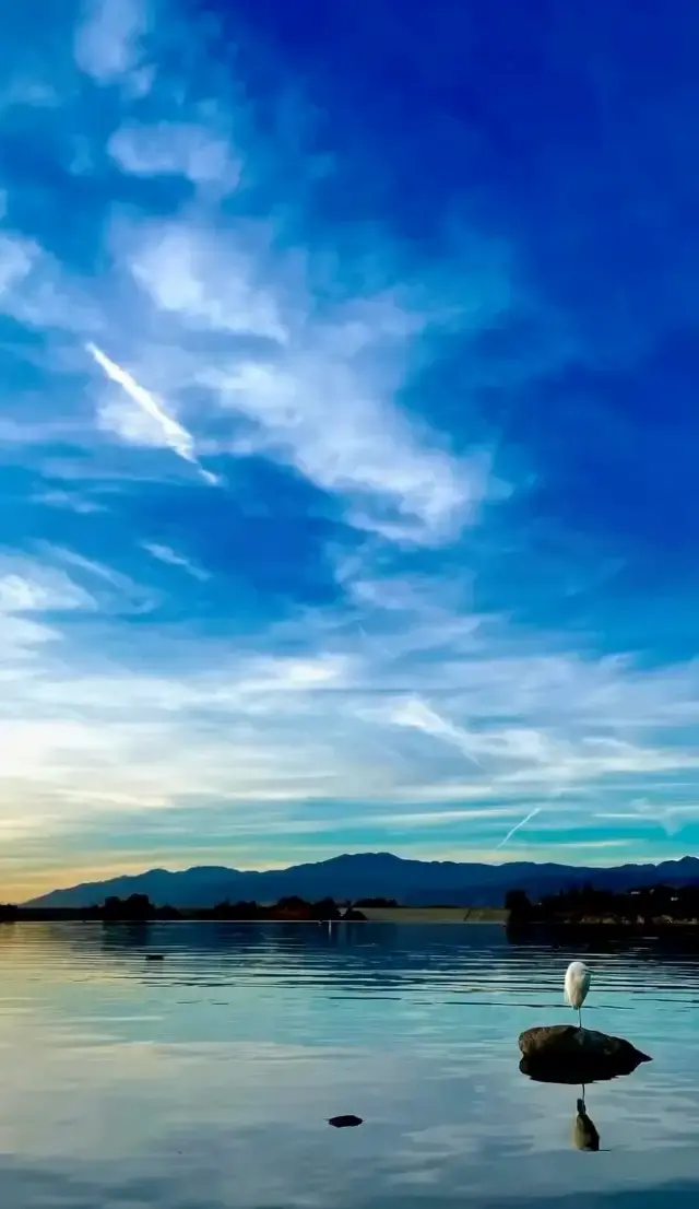 Amazing regional park nearby my home