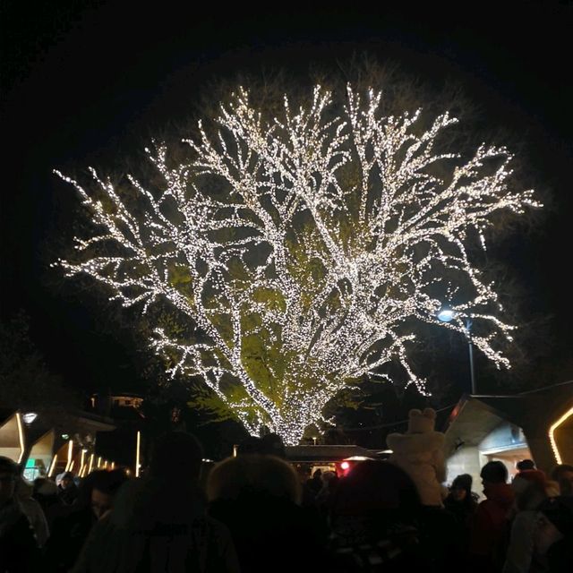 Christmas markets in Merano, Italy