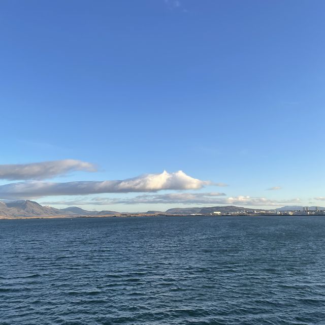 🇮🇸冰島遊記 Þúfa 小草丘藝術裝置