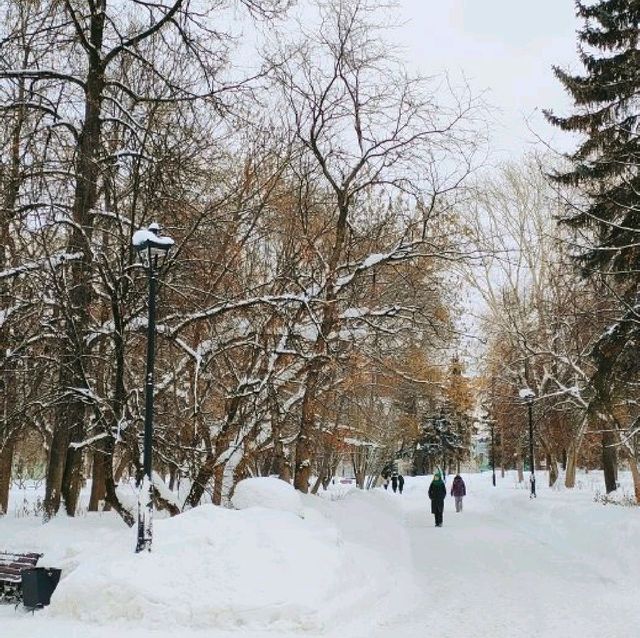 beautiful winter 