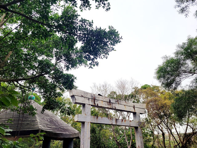 [ 親子好去處] 香港版日本鳥居小島之旅~