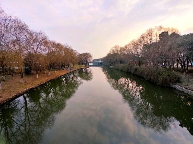 Purifying self at the Tiger Hill Wetland Park