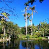 Enjoy the beaches in Freeport 