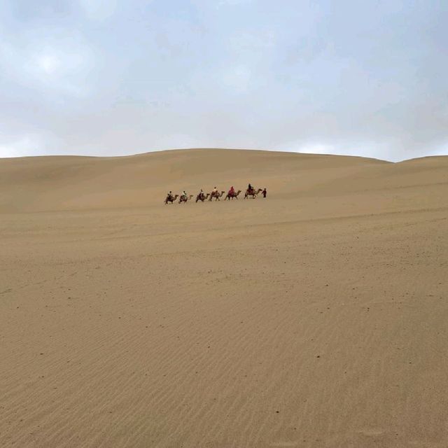 Camel ride in the desert