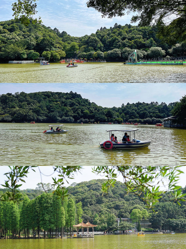 Guangzhou Surrounding Tour | Xiqiao Mountain · Foshan Off-the-Beaten-Path Hiking Route Guide