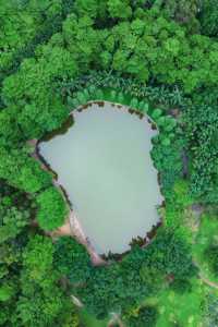 Found the real-life version of "The Wizard of Oz" in Guangzhou, breathtakingly beautiful ❗️