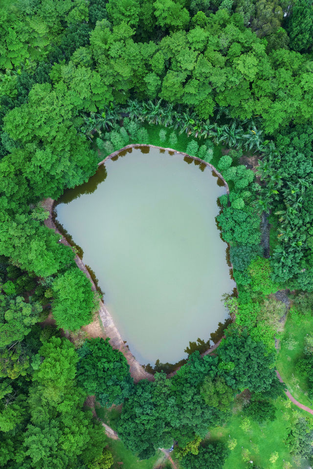 Found the real-life version of "The Wizard of Oz" in Guangzhou, breathtakingly beautiful ❗️