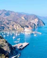 Los Angeles' backyard - Santa Catalina Island.