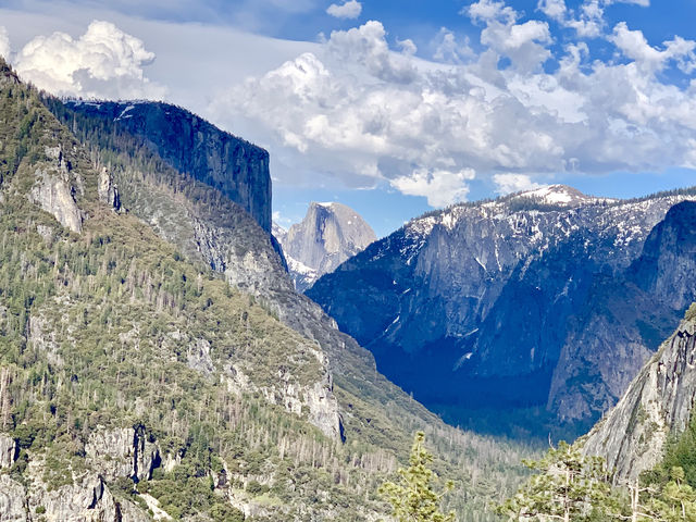 California | Yosemite National Park Photo Sharing 2