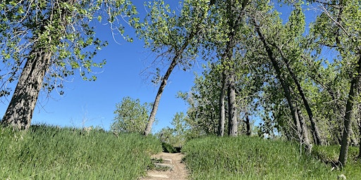 Qigong and Mindfulness Walk (Denver) | 11255 E M.L.K. Jr Blvd
