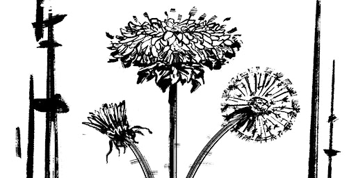 Concrete Dandelion Exhibition - Artist, Alec DeJesus (Dallas) | Art on Main