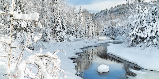 Guided Snowshoe or Winter Hike at Temperance River State Park | Bluefin Bay Family of Resorts