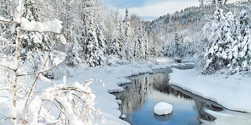 Guided Snowshoe or Winter Hike at Temperance River State Park | Bluefin Bay Family of Resorts