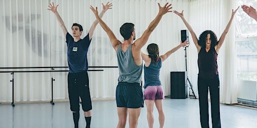 Double Skin/ Double Mind for Professionals | Space for Dance Art (Westbeat)