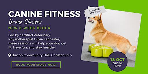 CANINE FITNESS CLASSES - NEW 6-WEEK BLOCK ‍ | Burton and Winkton Parish Council & Community Centre