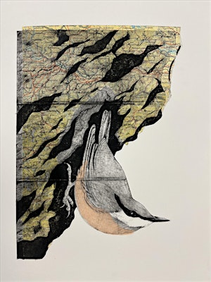 Two-day chine collé printing workshop with Marian Haf | Ruthin Craft Centre