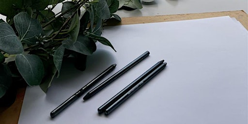 Drawing for relaxation with Sue Vesely | Museum of Art and Culture Lake Macquarie