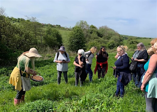 Introduction to Foraging Walk | Dalton Moor Farm - Vegan Fruit Farm and School of Sustainable Living & Wellbeing
