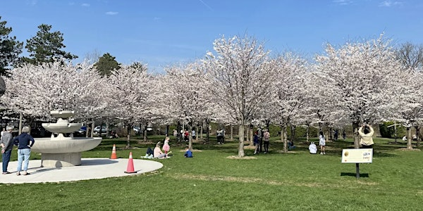 Pod the North Picnic [Centennial Park, Hamilton] | Centennial Park