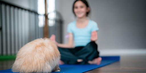 Family Yoga with Bunnies | Blue Dot Acres