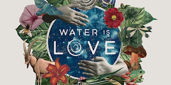 Water is Love Film Screening | Michael Hall Steiner Waldorf School