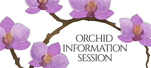 Orchid Information Session | Regina Floral Conservatory