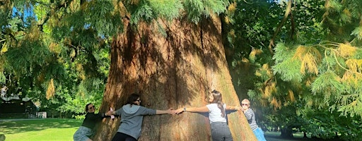 Corporate Wild Work Day: Digital Detox Day at Tilgate Park | Tilgate Park