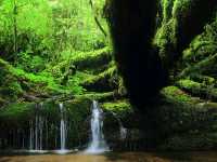 Yakushima 