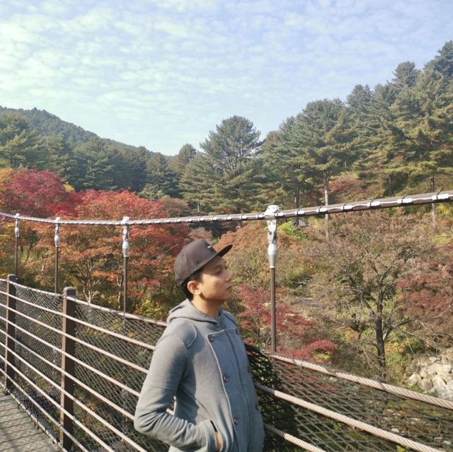 Garden Of The Morning Calm 🇰🇷
