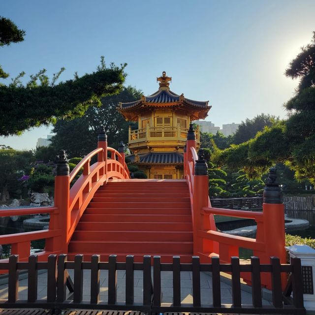 市區中的園林絕美天空之鏡 
