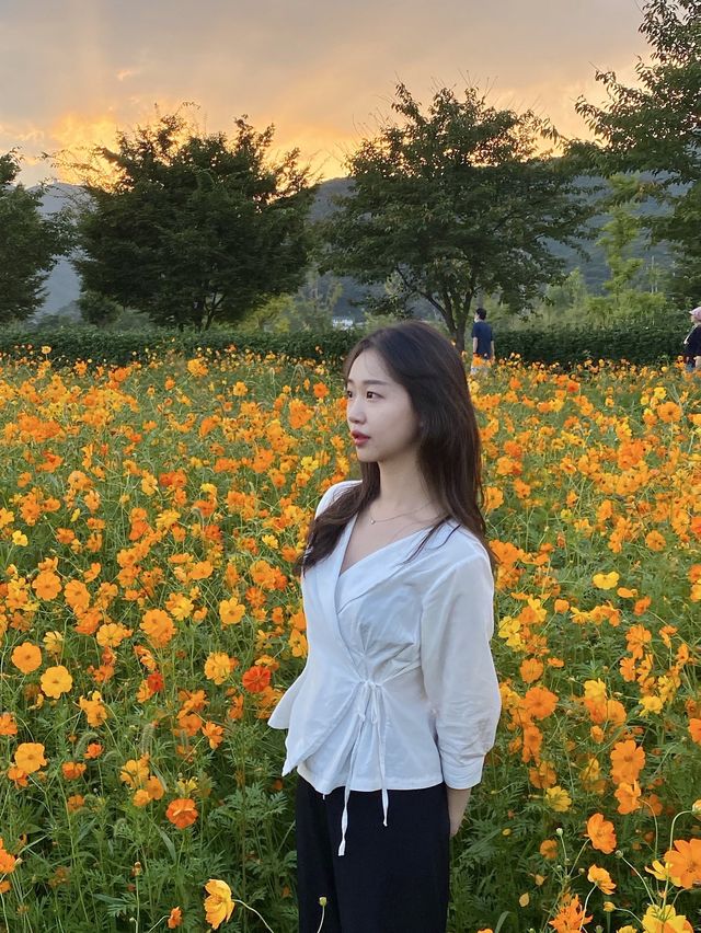 서울 근교 드라이브 코스 추천🚗🚲