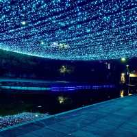新莊幸福站🔮2022新北鯨彩中港光雕展🤩越夜越美麗✨